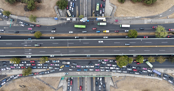 Mexico road mortality